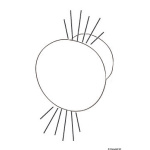 Luci di cortesia LED ROUND luce blu doppio fascio