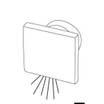 Luci di cort.LED SQUARE luce blu verso il basso