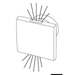 Luce di Cortesia Led da Incasso - immagine 2