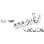 Innesto ottone femmina