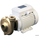 Elettropompa centrifuga bronzo 40 lt/min