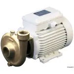 Elettropompa centrifuga bronzo 80 lt/min