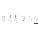 Pompa areazione Attwood MK2 12V 38 l/min interno - immagine 3