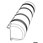 Protezione per pontile BIG FENDER bianca - immagine 3