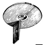 Anodo Yamaha 20/50 HP zinco