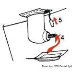 Patella - immagine 2