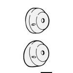 Coprimozzo cromato inclinazione a 90° - immagine 4