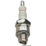 Candela Champion XC12PEPB