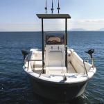 T-Top professionale 2000x1600 nero con telo nero - immagine 4