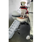 Scaletta per cani  Scaletta per cani