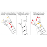 Scaletta telescopica 4 gradini con maniglie - immagine 3