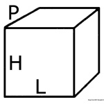 Frigo a pozzetto BI40 40 l - immagine 2