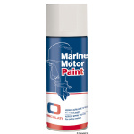 Vernice spray per motori IVECO entrobordo