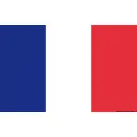 Bandiera Francia 30 x 45 cm